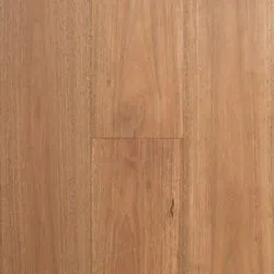 Timeless Spotted Gum Engineered Timber 14mm