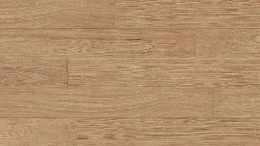 Wild Blackbutt Laminate 12mm