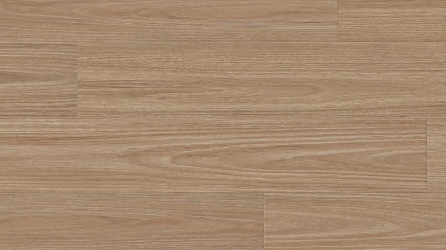 Ashen Blackbutt Hybrid 10mm