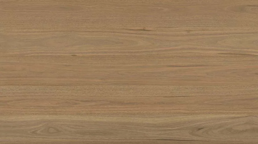 Wild Spotted Gum Laminate 10mm