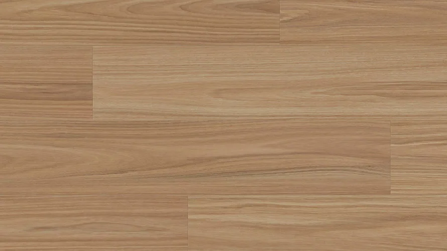 Dusky Blackbutt Hybrid 10mm