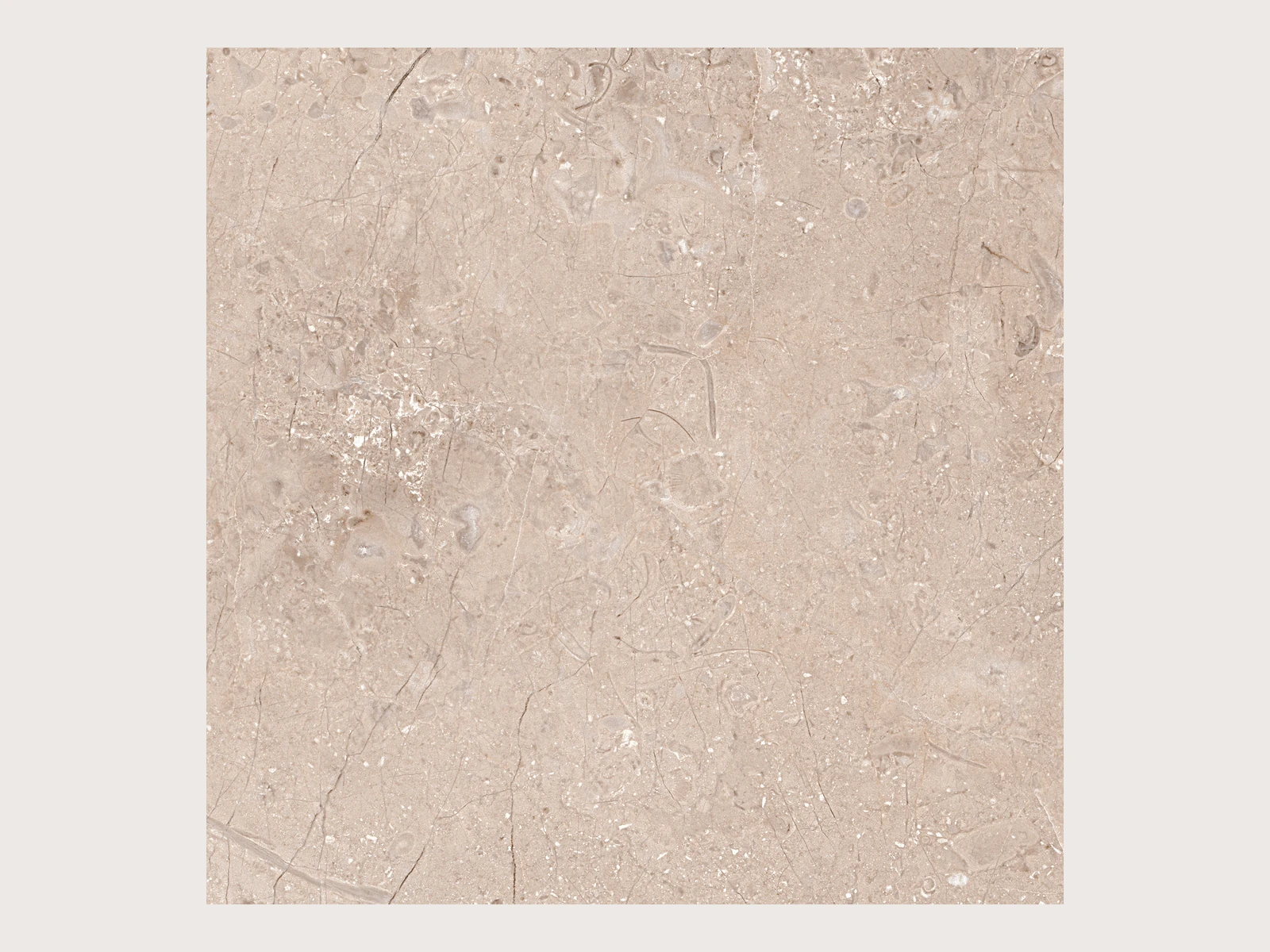Glazed Porcelain Laurel Beige view 2