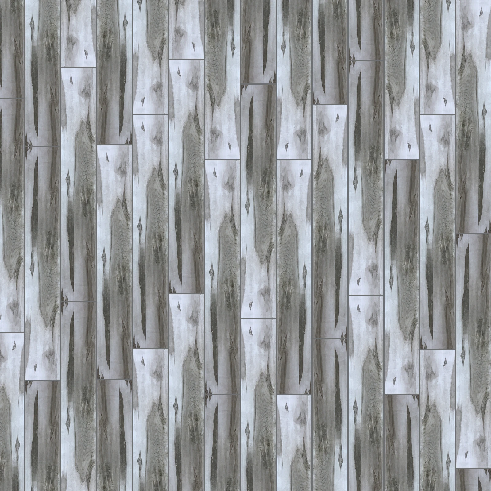 Ghost Gum