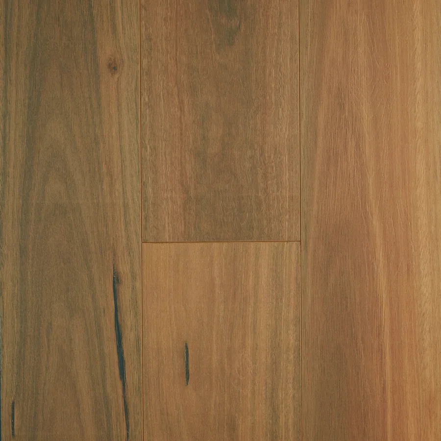 Linden Spotted Gum Laminate 12mm
