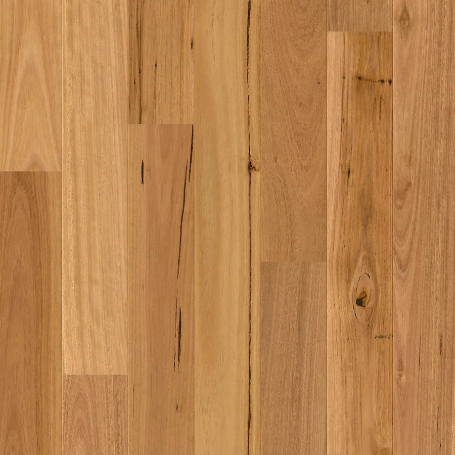 Grand Blackbutt Engineered Timber 13mm