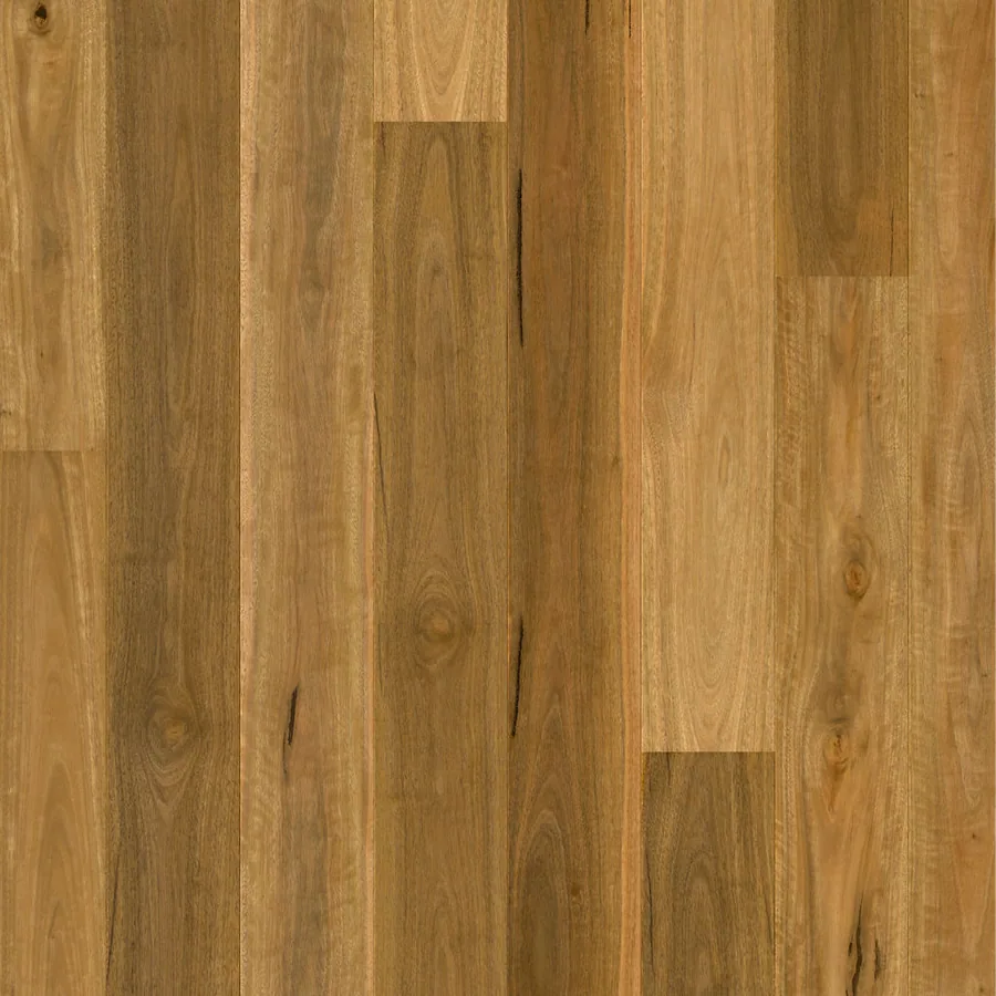 Grand Spotted Gum Engineered Timber 13mm