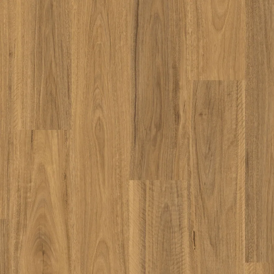 Classic Spotted Gum Laminate 8mm
