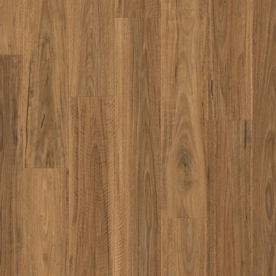 Nordic Spotted Gum Laminate