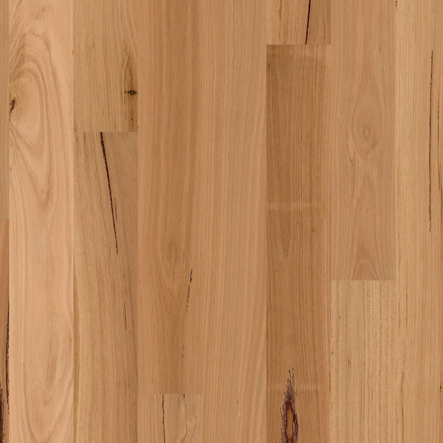 Country Blackbutt Engineered Timber 14mm